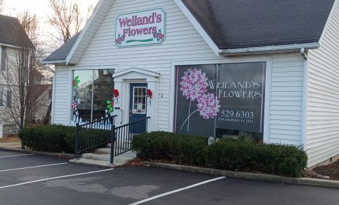Weiland's Flowers
