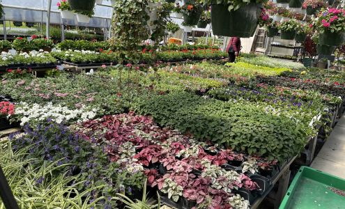 Court'sYard & Greenhouse