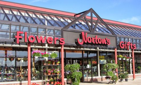 Norton's Flowers & Gifts