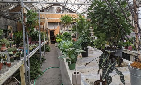 Ecker's Flowers & Greenhouses
