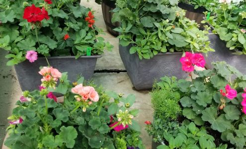 Krieger's Greenhouses & Greene Goods Market