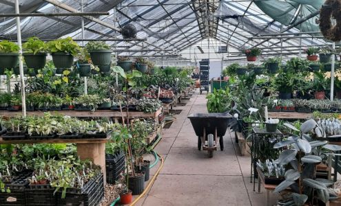 Jackson's Greenhouse LLC.