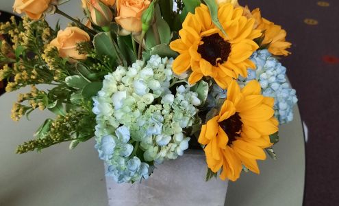 Sunshine Blossoms Inman