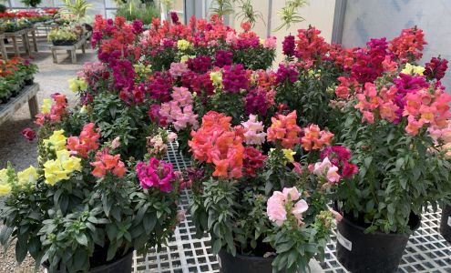 Masterson Nursery Inc Lamar