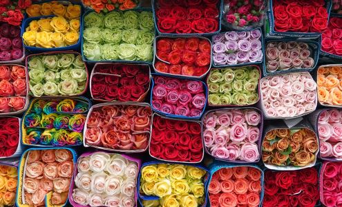 Potomac Floral Wholesale, Inc.