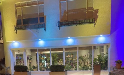 Flowers by John Kent