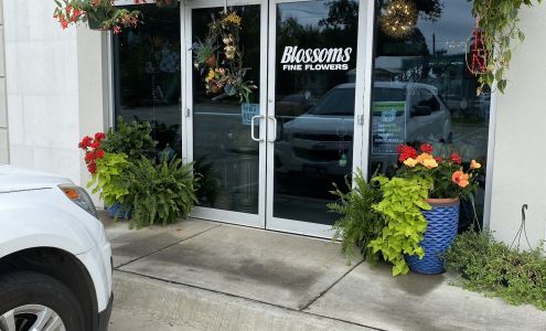 Blossoms Fine Flowers & Gifts