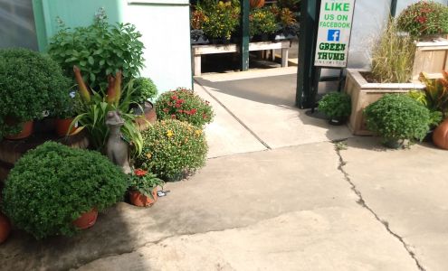 Friedeck's Garden Center