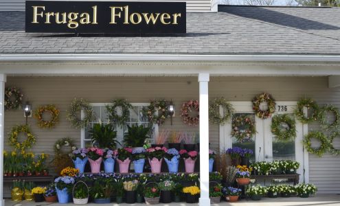 The Frugal Flower