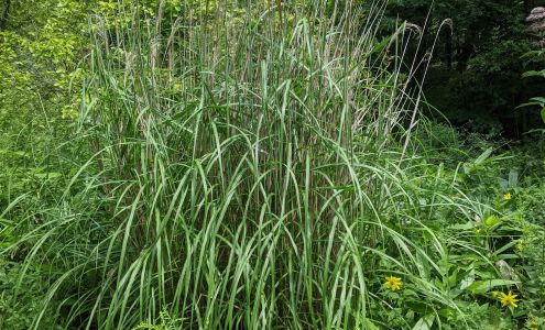 Tripple Brook Farm Southampton