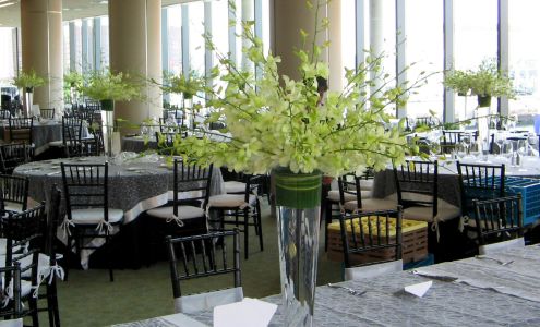 Wildflower Designs Florist