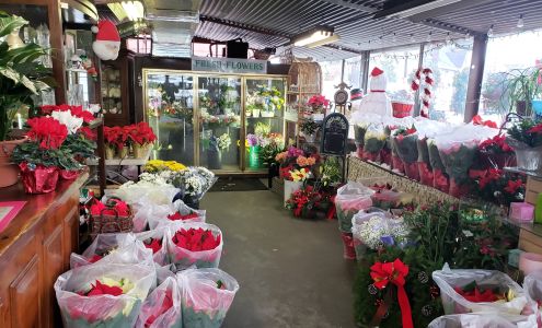 MARTIN'S FLORIST & GREENHOUSE