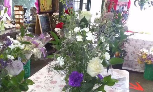 Chris Engel's Greenhouse