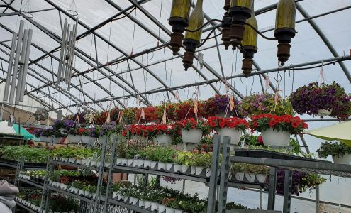 Jenny B's Garden Party ; Jenny Bees Flowers and Trees