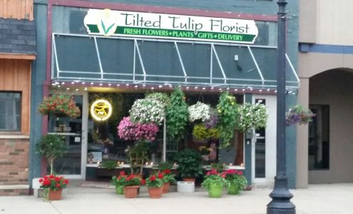 TILTED TULIP FLORIST
