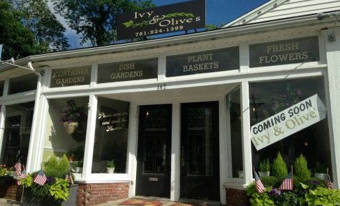 Ivy & Olive's