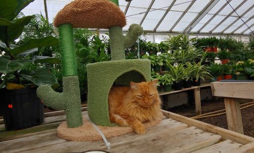 Gordon Florist & Greenhouses, Inc.