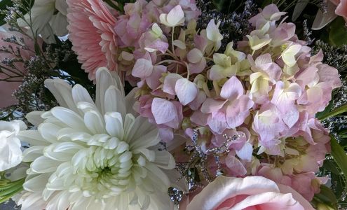 All Occasions Hudson Florist