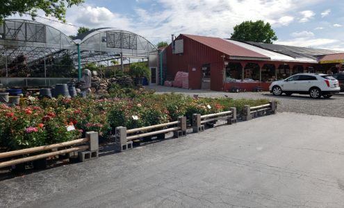 Daniel's Farm & Greenhouses
