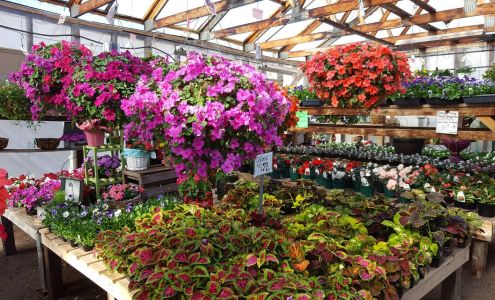 Spring At Last Greenhouse