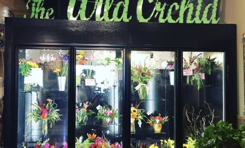 The Wild Orchid Corcoran