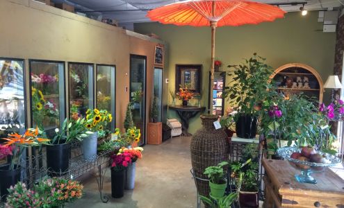 Cactus Flower Florists