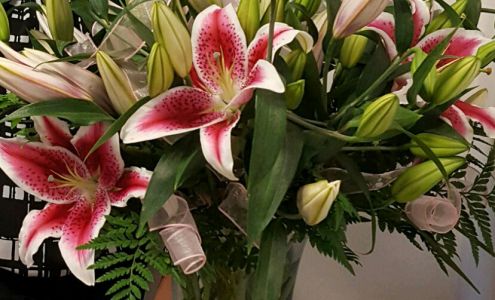 Dionne's Wall of Flowers