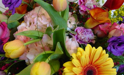 Trillium's Courtyard Florist