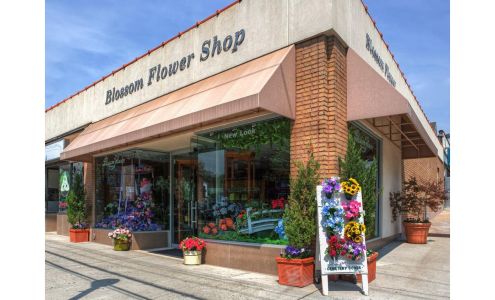 Blossom Flower Shops