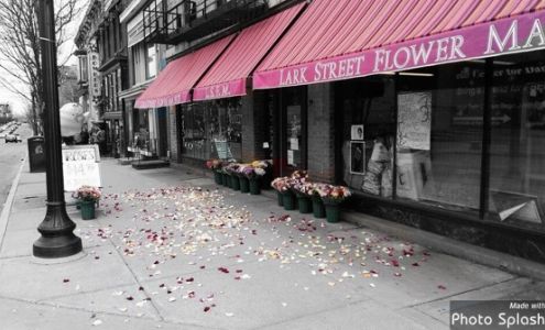 Lark Street Flower Market Inc