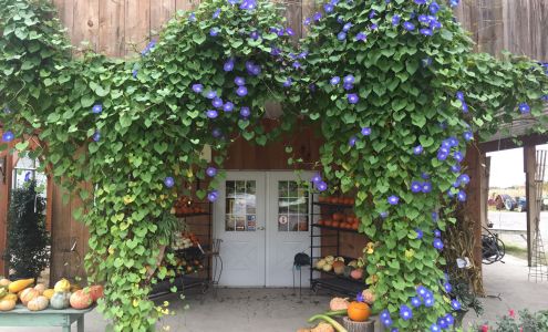 Henry's Gardens Inc. Eden