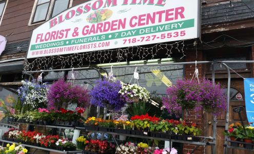 Blossom Time Flowers