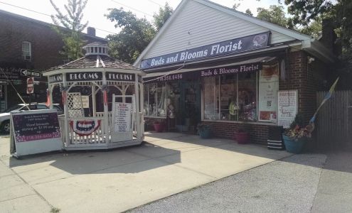 Buds & Blooms Florist