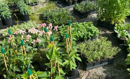 Red Mill Landscaping & Nursery