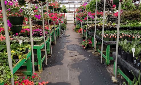 Ladybug Greenhouse