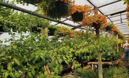 Town & Country Greenhouse & Nursery