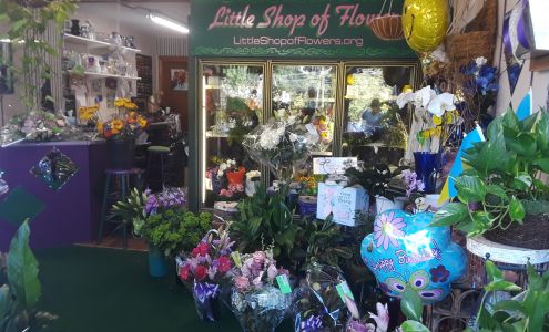 Little Shop of Flowers