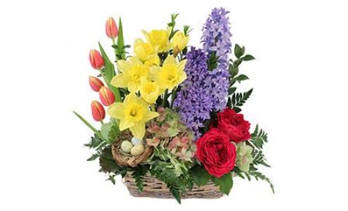 Pleasantville Flowers