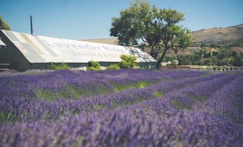 Lavender Ridge Wedding, Elopement, Party, Chapel, Hall Venue