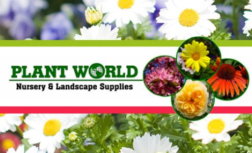 Plant World