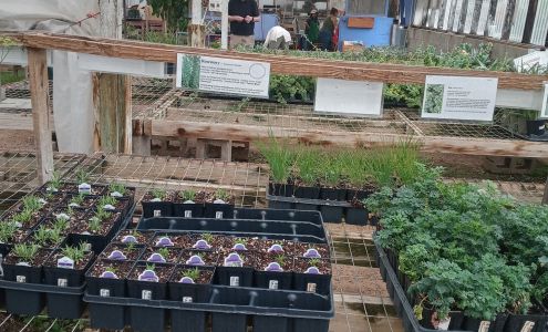 Payne's Nurseries SOUTH