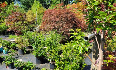 Faulkner Landscaping & Nursery