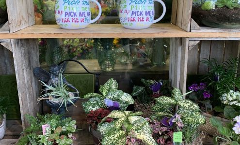 Royer's Flowers & Gifts