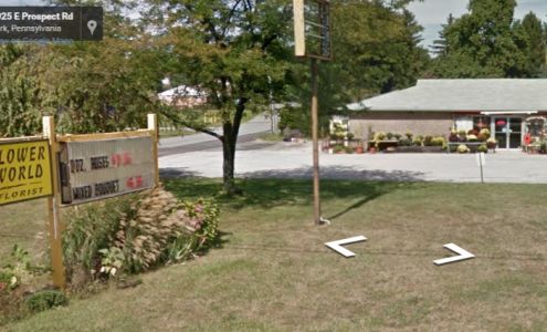 Flower World of York