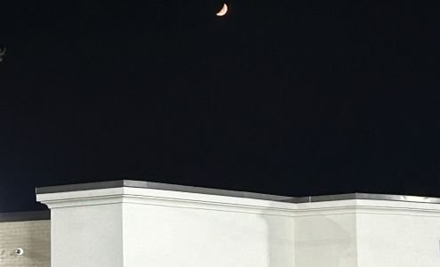 Petree's Flowers, Inc.