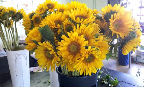 Chattanooga Flower Market