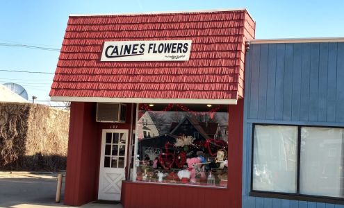 Caines Flowers
