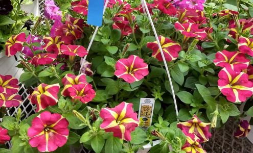 Holleydale Farms & Gardens