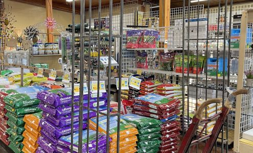 Pandy's Garden Center