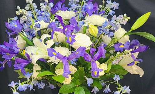 Elegant Designs In Bloom